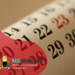 Designer (4)