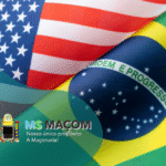 brasileua Designer