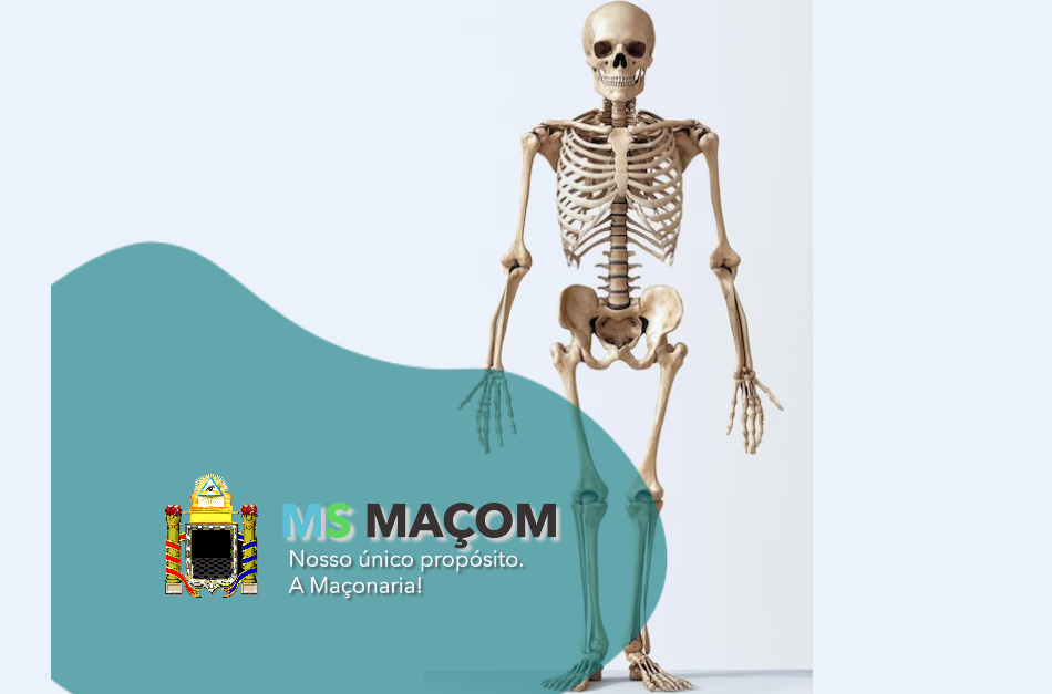 putrefação Designer