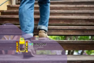 Degraus nos Templos do Rito Escocês Antigo e Aceito e a Ascensão