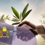 O Maçom Entre os Conflitos da História e a Paz da Consciência