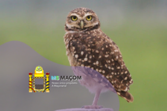 Filosofia para Poucos Ensaio sobre a Filosofia Maçônica